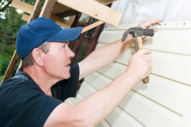 Best Engineered Wood Siding  in Woodbine, NJ