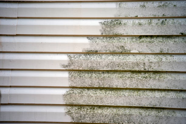Best Brick Veneer Siding  in Woodbine, NJ