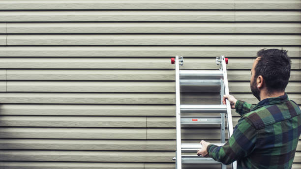 Best Storm Damage Siding Repair  in Woodbine, NJ