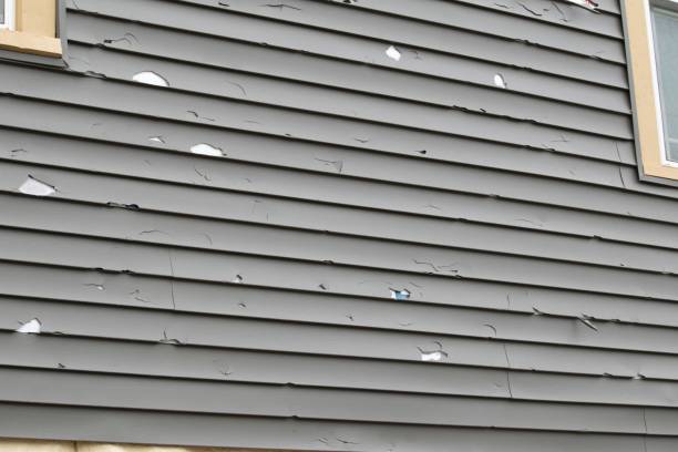 Best Historical Building Siding Restoration  in Woodbine, NJ