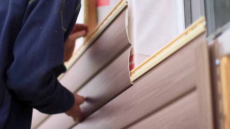 Best Siding Replacement  in Woodbine, NJ